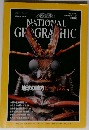 The National Geographic Magazine 1998年3月号