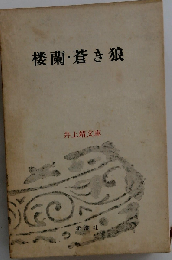 楼蘭・蒼き狼