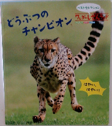 どうぶつのチャンピオン