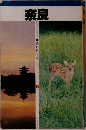 奈良　11