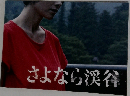 さよなら渓谷