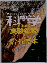 研の科学ときめく実験鉱物と岩石標本