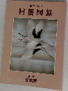 第二十二回  日展図録  第一科  日本画