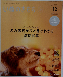 いぬのきもち　2022年12月号 vol.247
