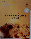 いぬのきもち　2022年12月号 vol.247