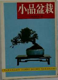 小品盆栽