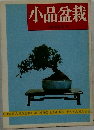 小品盆栽