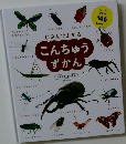 こんちゅうずかん　146