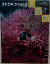しぜん7　さかなのかくれんぼ