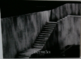 FACE THE SUN