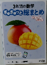 3年間の数学　ぎゅぎゅっと総まとめ