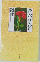 花おりおり