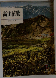 高山植物