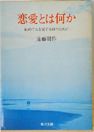 恋愛とは何か  初めて人を愛する日のために