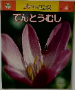 てんとうむし　プチサイエンス1981年4月号 No.1