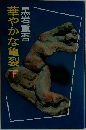 華やかな亀裂　下