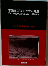 不法なプルトニウム同盟