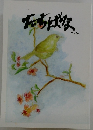 たちばな　Vol.57