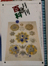 百科月刊　1997年7月号