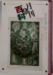 月刊百科　1997年9月号　No.419