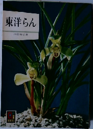 東洋らん