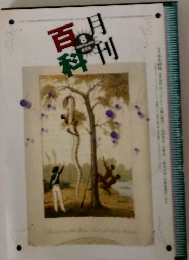 月刊百科　8/1997