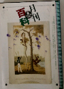 月刊百科　8/1997