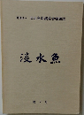  淡水魚  第 7 号