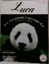 Luca　2004年号　No.7