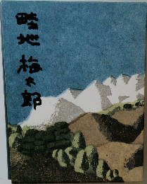 畦地梅太郎