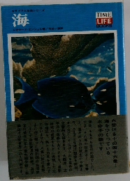 海
