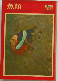 魚類　