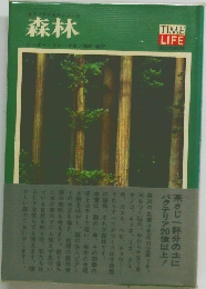 森林