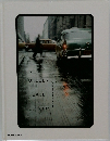 THE  UNSEEN  SAUL  LEITER　まだ見ぬソール・ライター