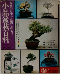 小品盆栽百科
