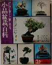 小品盆栽百科