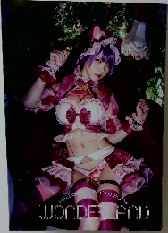 HALLOWEEN PHOTO BOOK  WONDERLAND