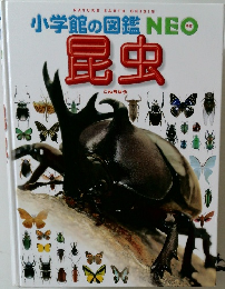 小学館の図鑑NEO　昆虫