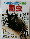 小学館の図鑑NEO　昆虫