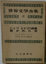 界文学全集 22