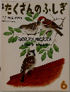 月刊たくさんのふしぎ　1986年6月号