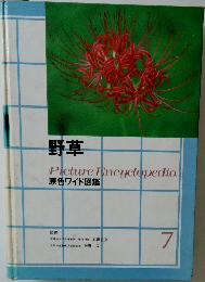 野草  原色ワイド図鑑
