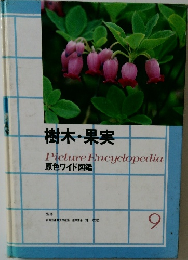 樹木・果実　9