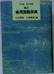 実用国語辞典