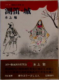 カラー版 国民の文学 25　　湖笛・城