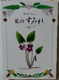 私のすみれ