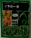 科学のアルバム26  イネの一生