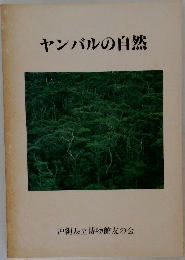 ヤンバルの自然