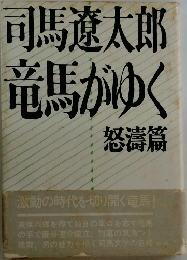 竜馬がゆく　怒濤篇