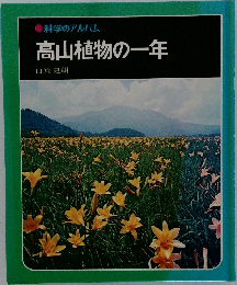 高山植物の一年